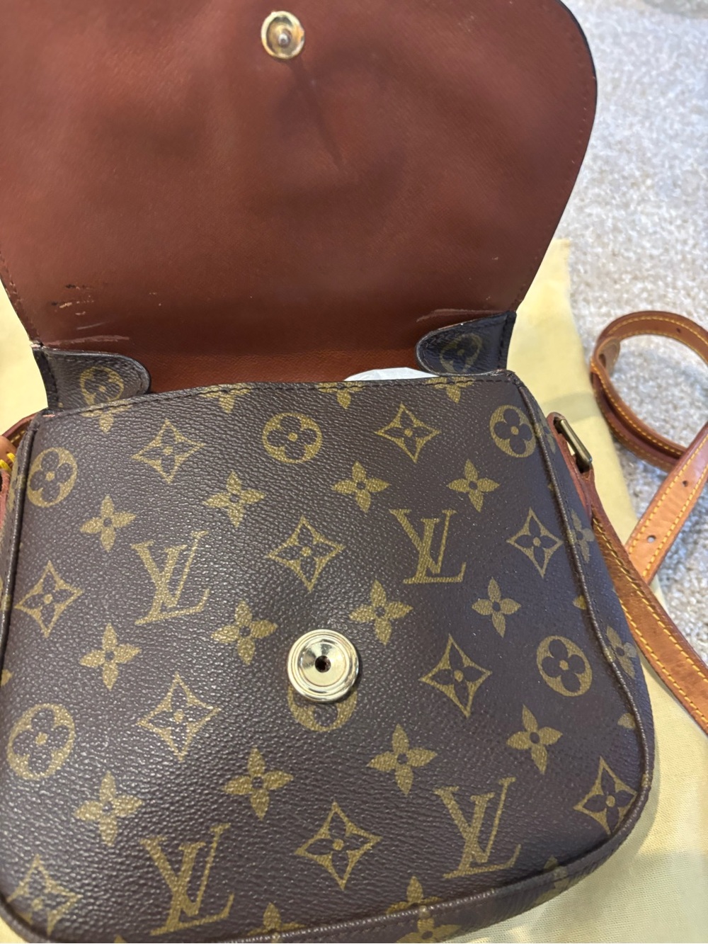 Louis Vuitton Monogram Saint Cloud Crossbody Bag - Picture 3 of 8